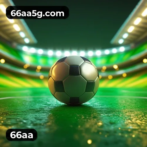 Níveis do programa VIP da 66aa